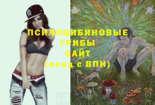 прущий лед Лиски