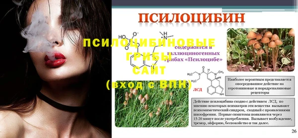прущий лед Лиски