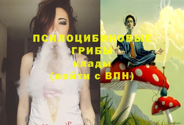 прущий лед Лиски