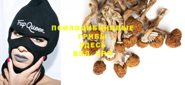 прущий лед Лиски
